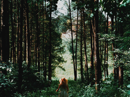 cool-forest-girl-indie-Favim.com-1179519