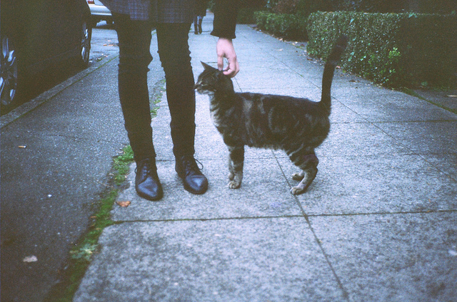 tumblr_lcfealtt3t1qbfpdlo1_1280