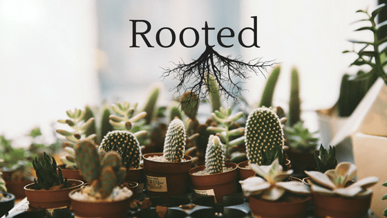 Rooted